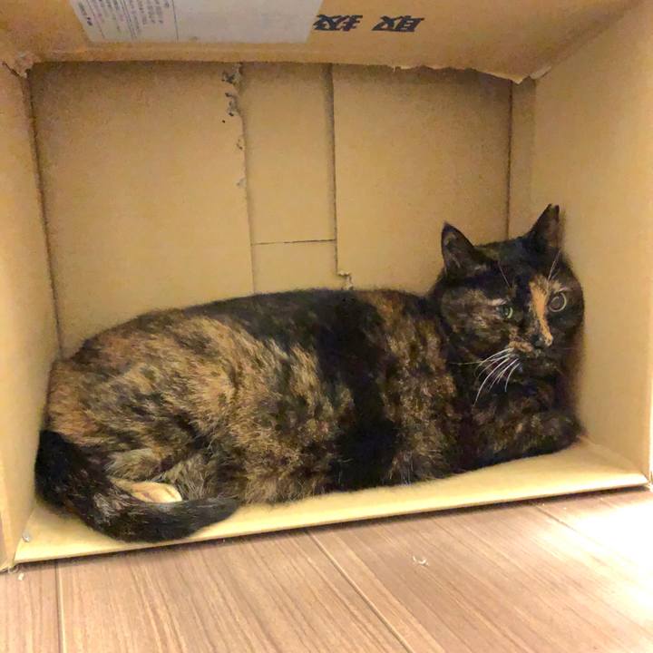 83af17e3 190a 41fd b15e 76acb948d01c 1591840686304