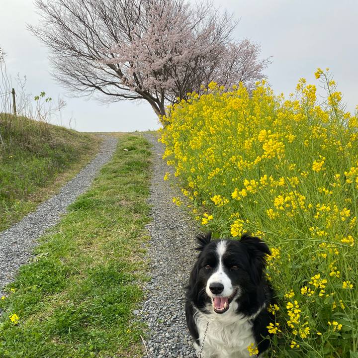 83af1d6c a02a 43b4 a76c 742b8d3ebe1f 1648513432436