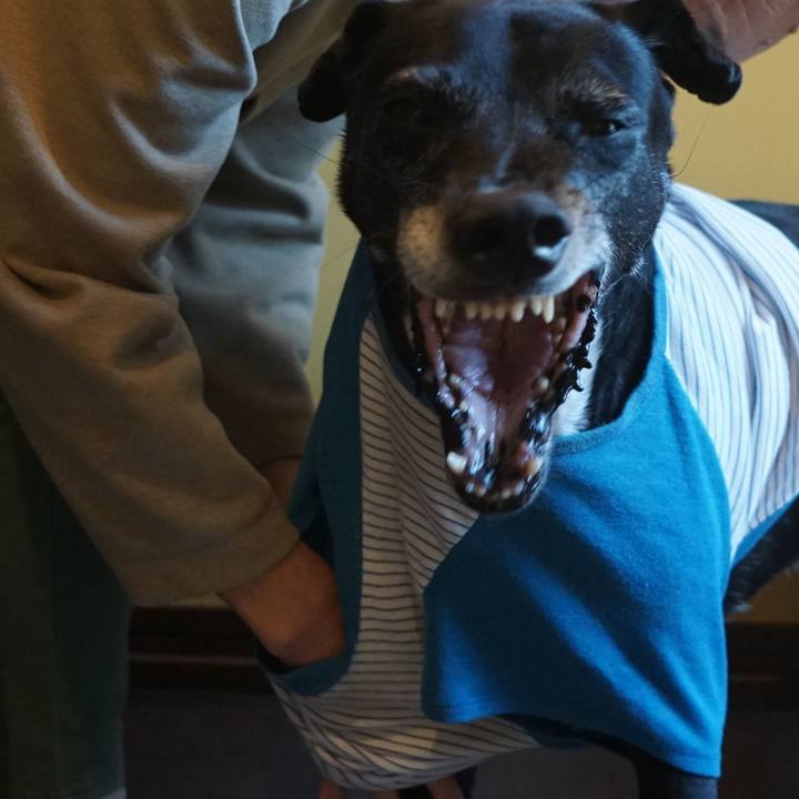 83af6930 db6a 43fa 8311 d6f0d7eaf99d 1763982266664