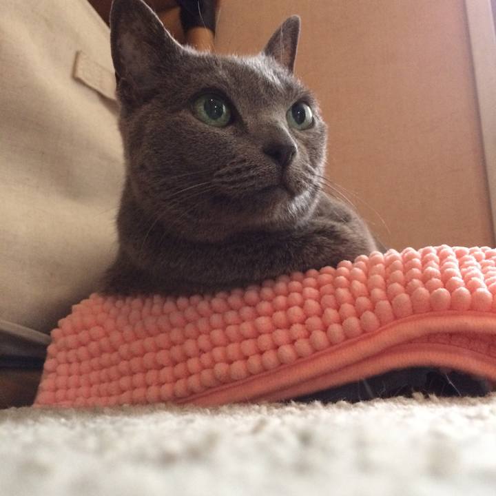 83af9343 c867 40ba 94a3 0d5093097fa6 1527715118239