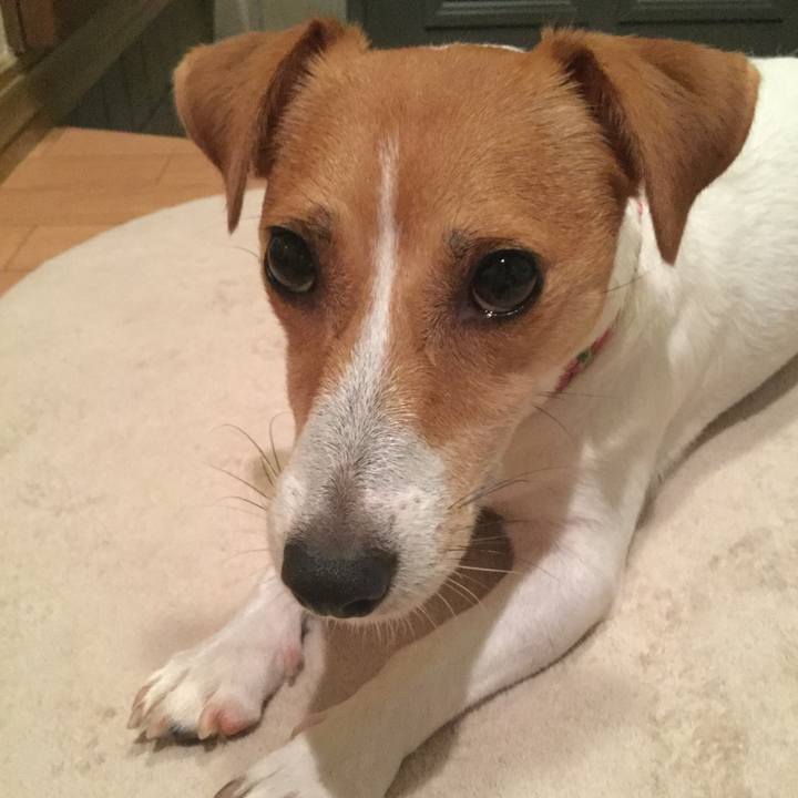 83af9bff 44a0 4e23 86d3 57547d687da3 1537527672526