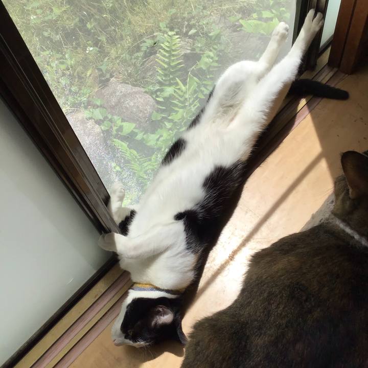 83afa15d a52a 4c8e a35d 5ec1696f486a 1653187747196