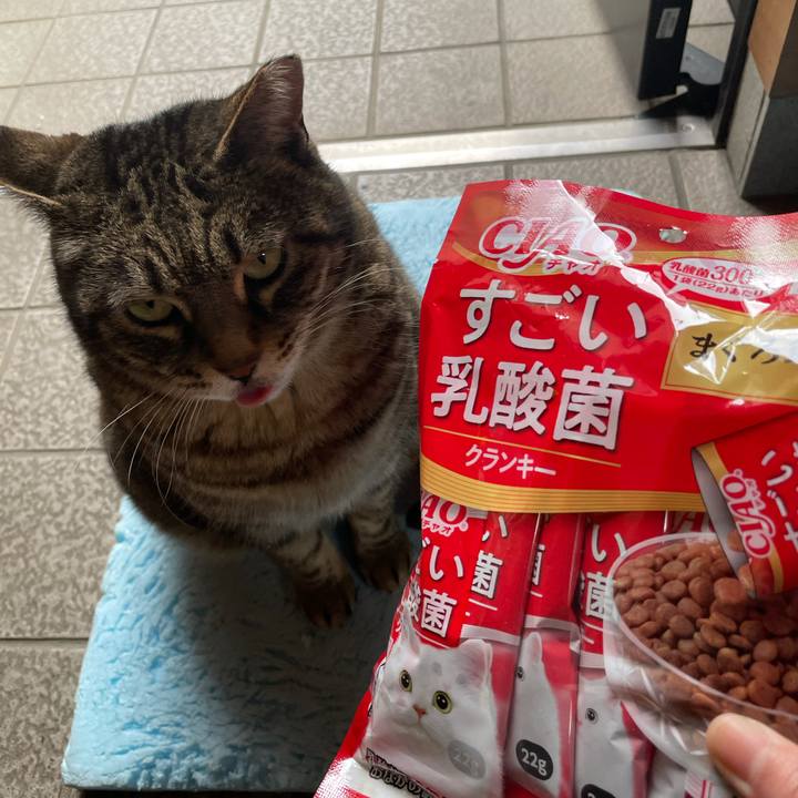 83afa3f8 031a 492c 90fb 193c3ae43ebd 1614845648686