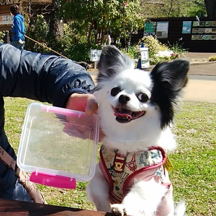 83afb272 18e6 47bc a33f 26054638a10a 1584771618059