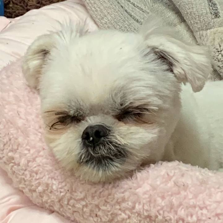 83afed21 5ff7 42bc 8e5c 1894139cfb4c 1675771503447