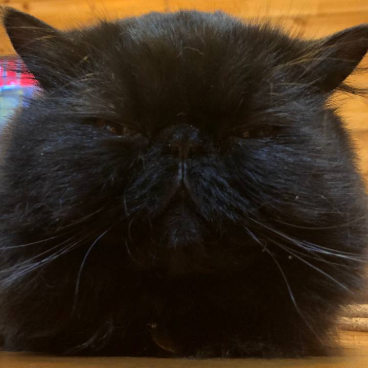 83b028b5 983e 498c 9b00 373930c4b417 1583679125590