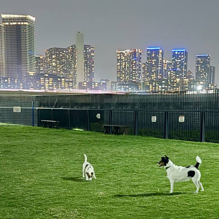 83b0748c a3f9 4e8a be35 a825ce775c56 1755907092040