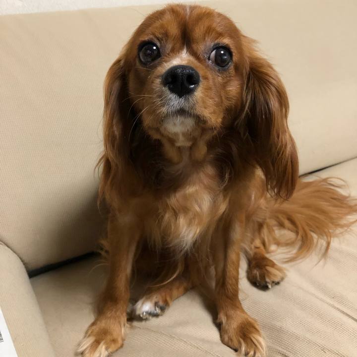 83b0b933 9250 442c 8c44 ff5126474724 1564494421631