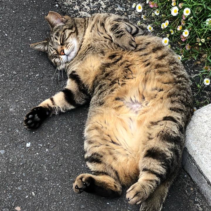 83b0d35f e295 4050 9975 9ab583080439 1557620151309