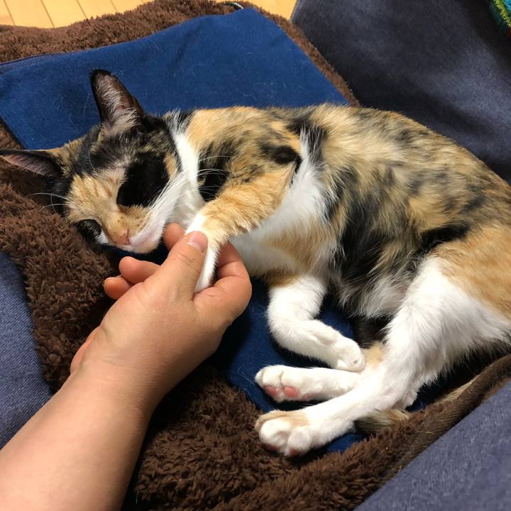 83b111d5 0302 4875 90f7 d02a3e65767c 1547034062623