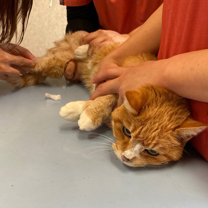 83b145da 6ab2 4c38 a923 35dcf51b9a41 1576247547370