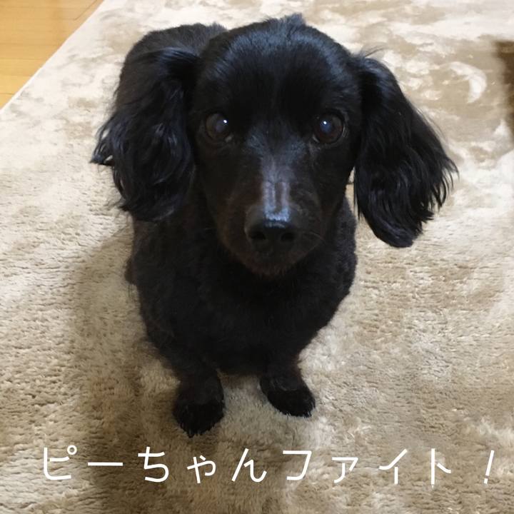 83b19bf1 fda9 475e 8de0 b2e282268863 1520854699293