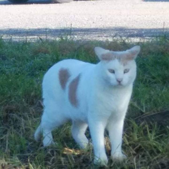 83b223c0 af32 42a0 a347 5fa7bfe1c7b5 1632224273811