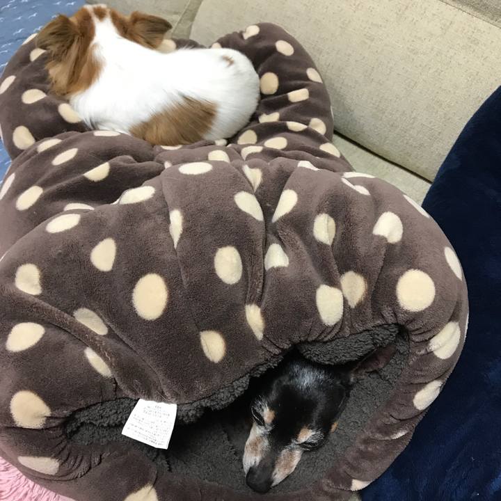 83b23c63 059f 4399 90a6 0dd104902ef8 1509972078647