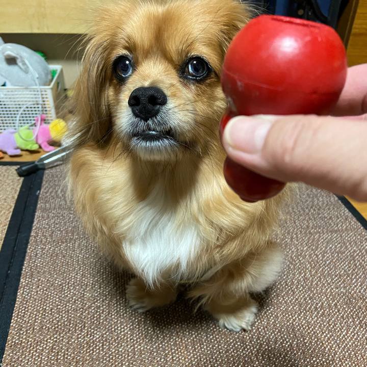 83b23f58 b6ea 4266 80fa b7721fd5d372 1619214898207