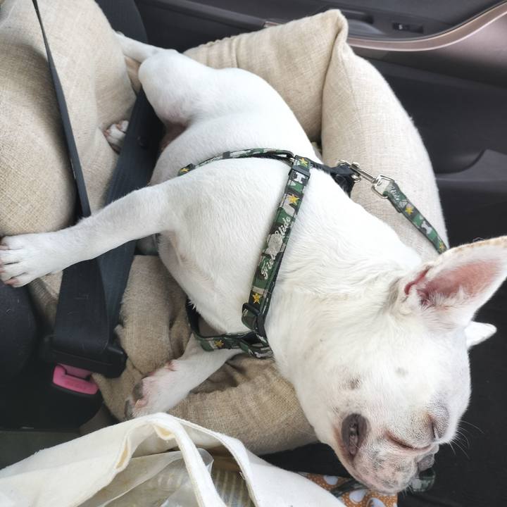 83b2609a c8ef 4fdb 8c08 dc7604266713 1682672503648