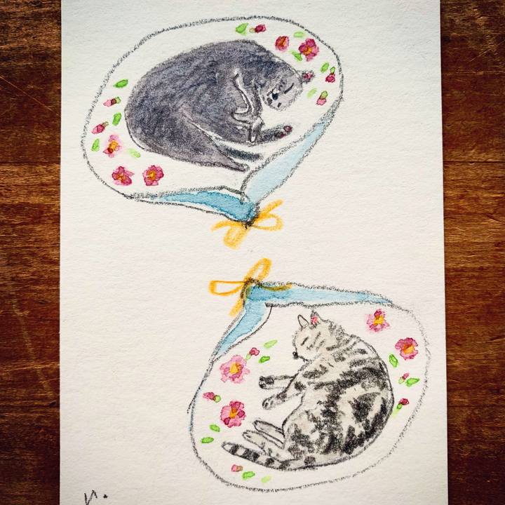 83b27e21 9c15 496e 8e3e 23c5a7820606 1612322752741