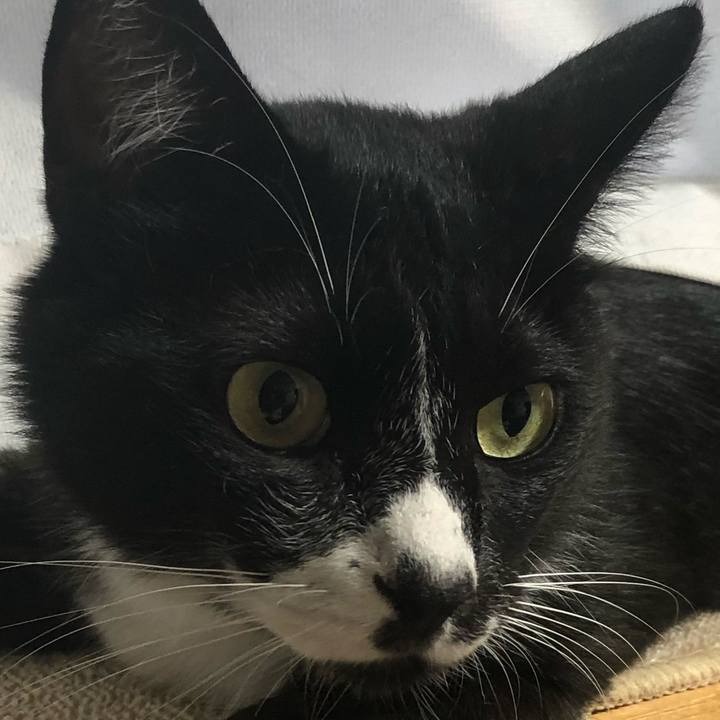 83b322b4 5419 4624 af44 eb27f13d79d7 1665200561701