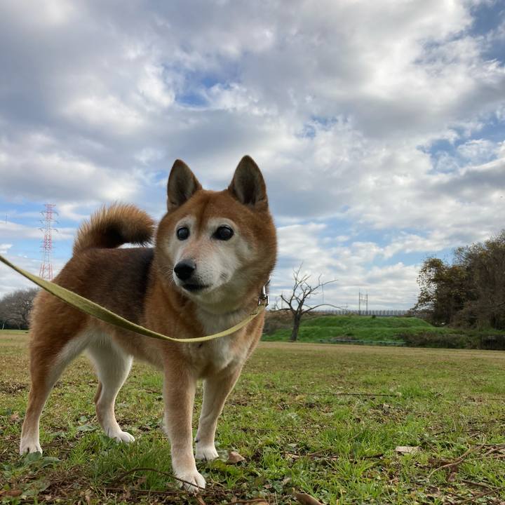 83b335d4 78aa 4895 a140 53362db77ddd 1670590692685