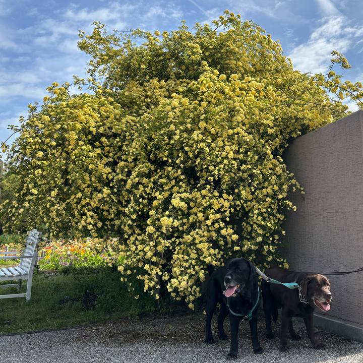 83b350d4 74ab 4b18 9a4a 813693ca9dbb 1776516320938