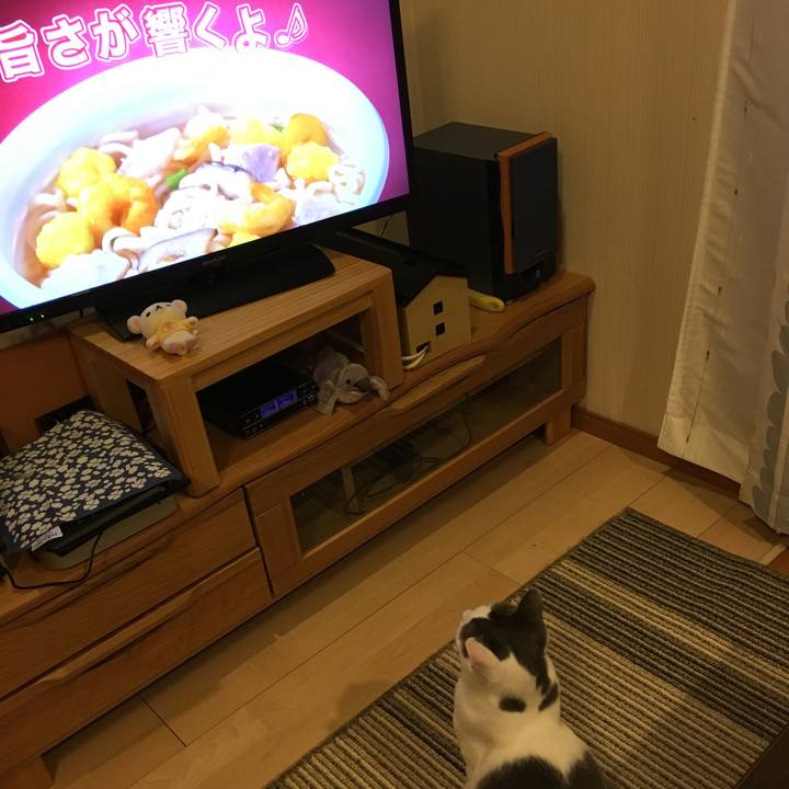 83b385bb d2f9 4022 9da6 1737343c5997 1511485740013