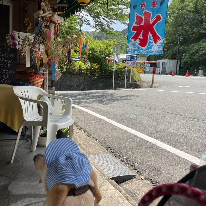 83b3876a 2c3a 4ff2 95bd 9828a2710868 1627524587272