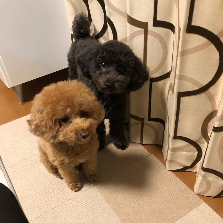 83b389f2 6a4a 4724 a04c 8f9cdecbbddb 1576580517918