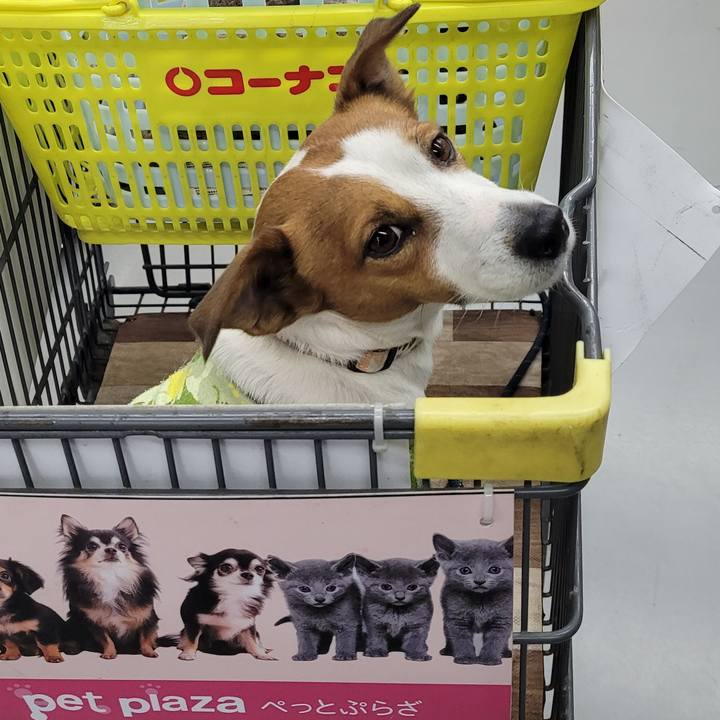 83b38b68 751f 44f4 be25 ec13ae2629b4 1705891345001