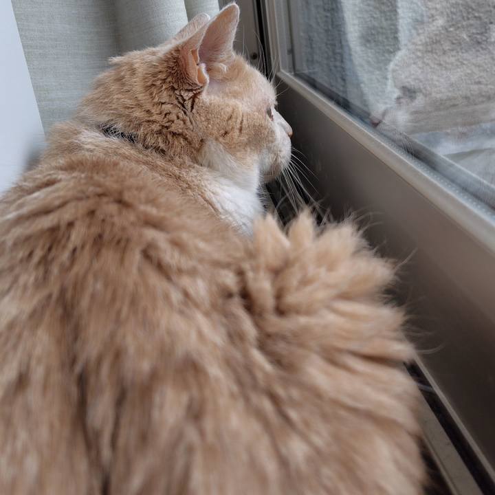 83b3bc79 7faf 4c4f 9fbf f5fcf146b547 1747865361572