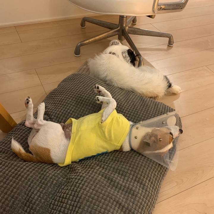 83b3d5b5 1aa1 4f34 9b85 6ef143fb676f 1570621728070