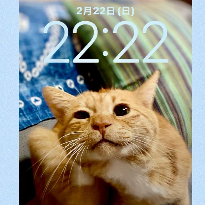 83b4141b 1cd4 42c7 8593 8abefd64d28a 1771768408072