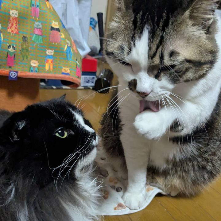 83b43114 42a5 4189 b5e7 5773510fe1bc 1765698688648