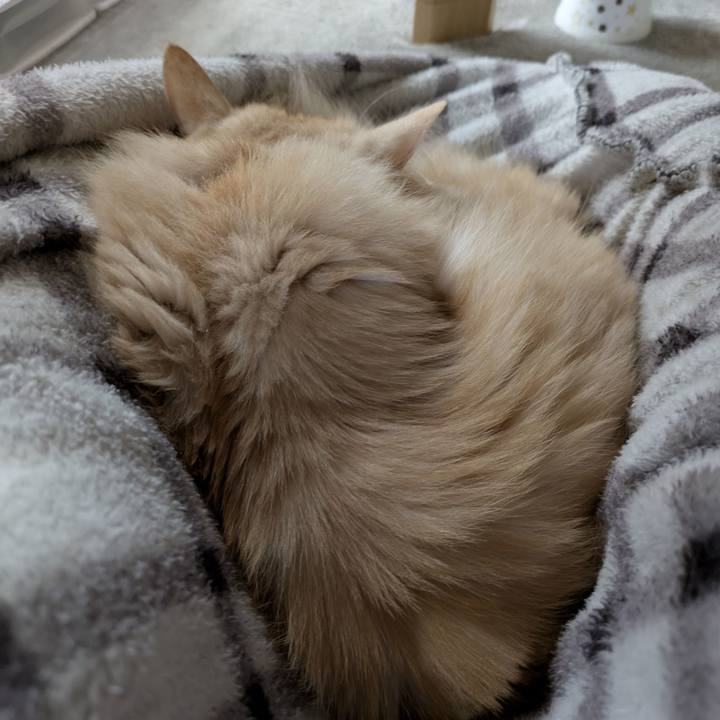 83b433b1 8a42 4b05 8c12 589ac9931faa 1761016379454