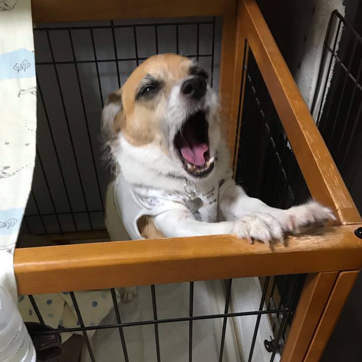 83b479fd 0960 4402 8ee0 ac2f9d988d23 1539293883907