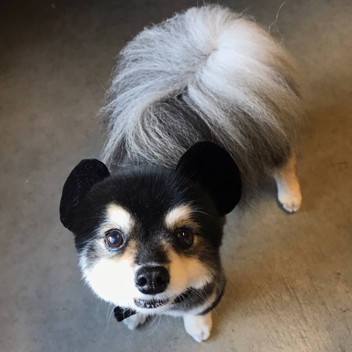 83b48512 cd06 4aba 9160 324db2c971c0 1577890146407