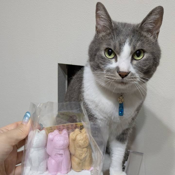 83b495b6 b328 4d80 abd7 b7c814e9b346 1751886449709