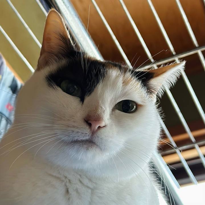 83b4a635 6c67 4b16 9ada f3f0cd0905a4 1676941780187