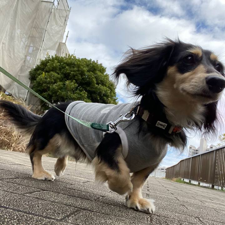 83b4cd26 ec6a 4333 97f1 63d56bfb2039 1708230671446