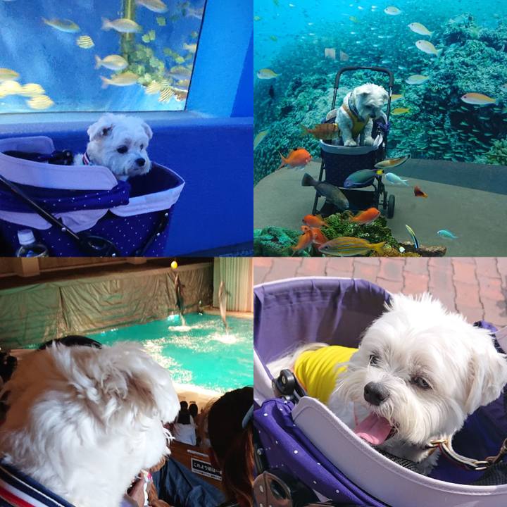 83b543e6 9677 46a3 bb46 3b7ae8cef7f8 1623742170984