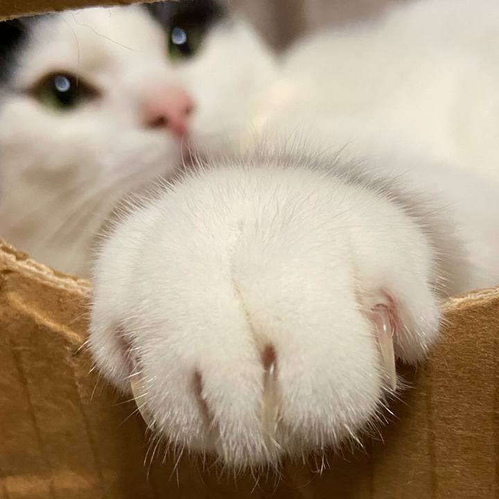 83b56792 d1bf 4bd5 9e07 3c8660d282a7 1601466093711