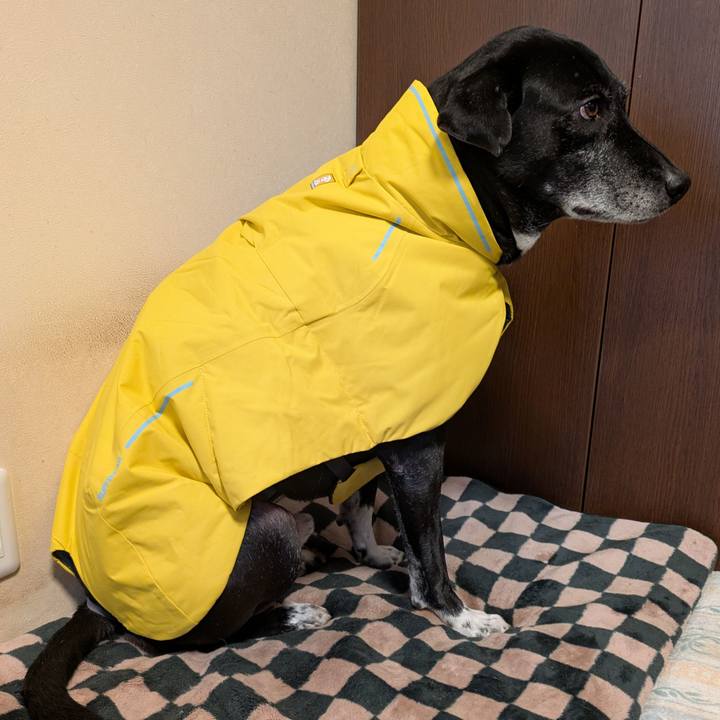 83b5b02a 12ac 4397 b602 5f7129f1f7b8 1736662348591