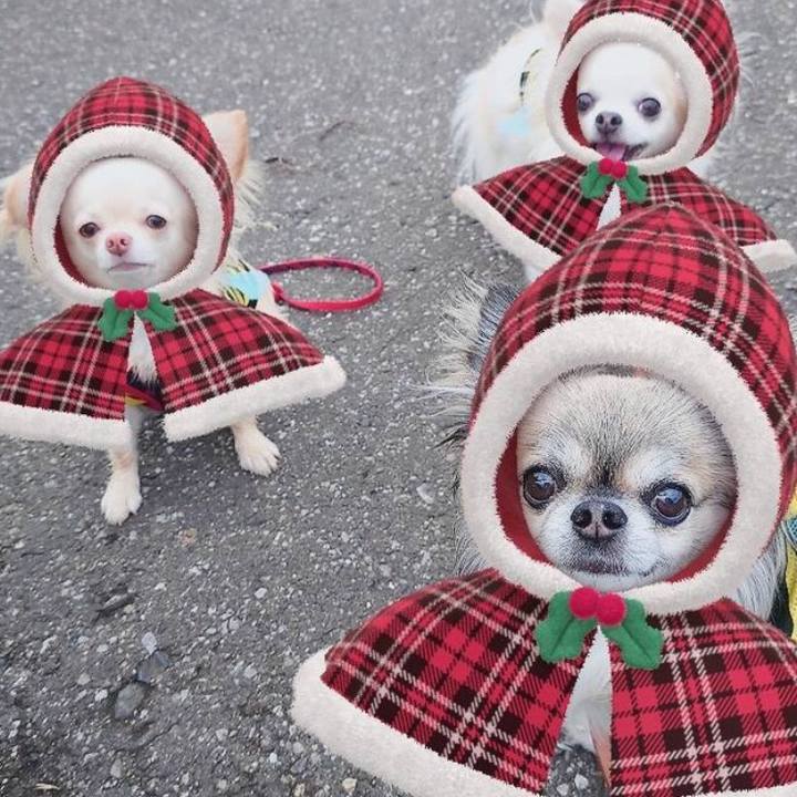 83b62db1 b1d8 4744 87a9 8469462c5394 1640335684500