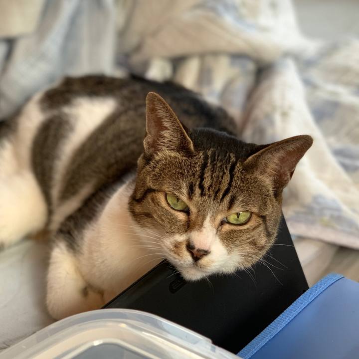 83b64b9a 87de 4ae3 886a 7b33a0174dc2 1571272643260