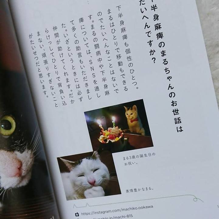 83b64e1d b018 4eaf bf98 ee2a6f94fd6b 1551071635154