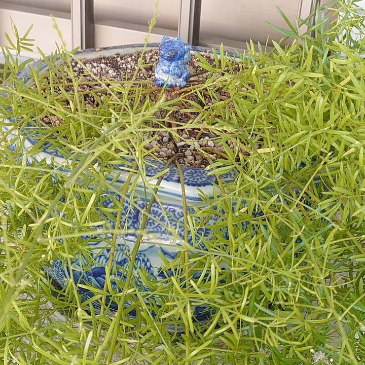 83b6beab ba68 46b2 8112 f5b30ecdd0e9 1600305905400