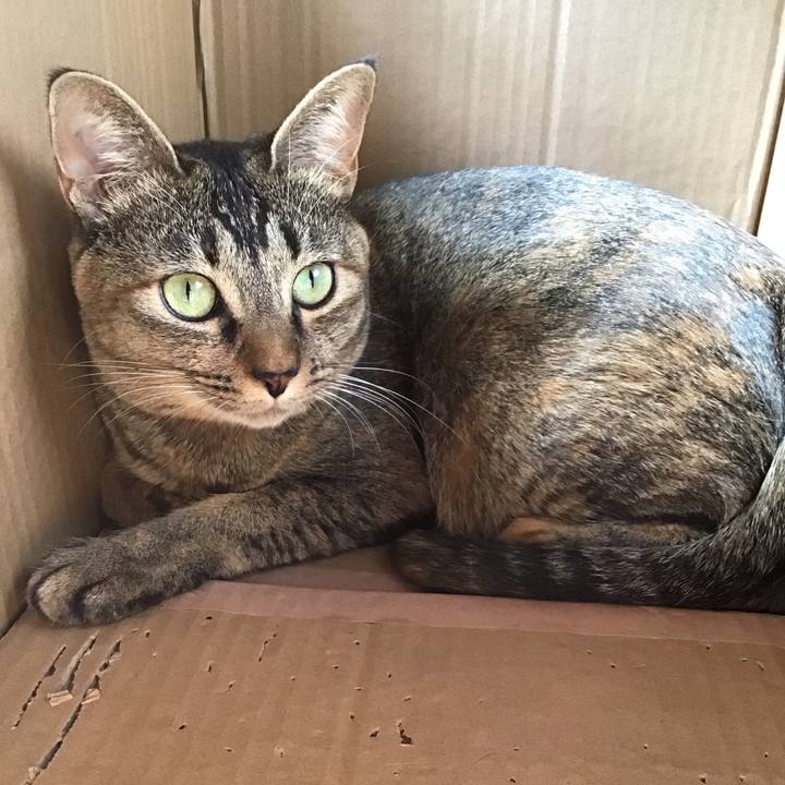 83b6d254 ee00 44bc bf81 1270797caafb 1605408956054