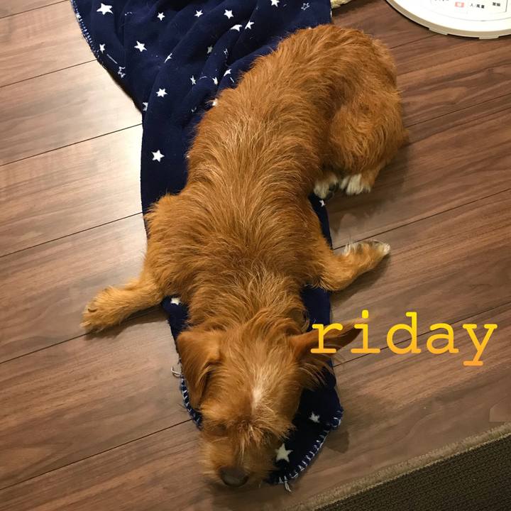 83b75dd7 633e 4e8c 83a8 bdeb528ff2f5 1536875914796