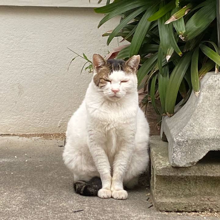 83b7b46b 4c23 4ab3 849e cd0ad390afac 1666510616252