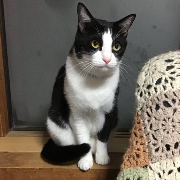 83b7b8d0 00cb 432d be73 62bd3c3dc6fe 1730801303061