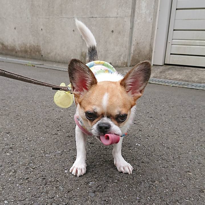 83b7f6f2 f7c2 46b4 a579 c77eecad6ab1 1600509698087